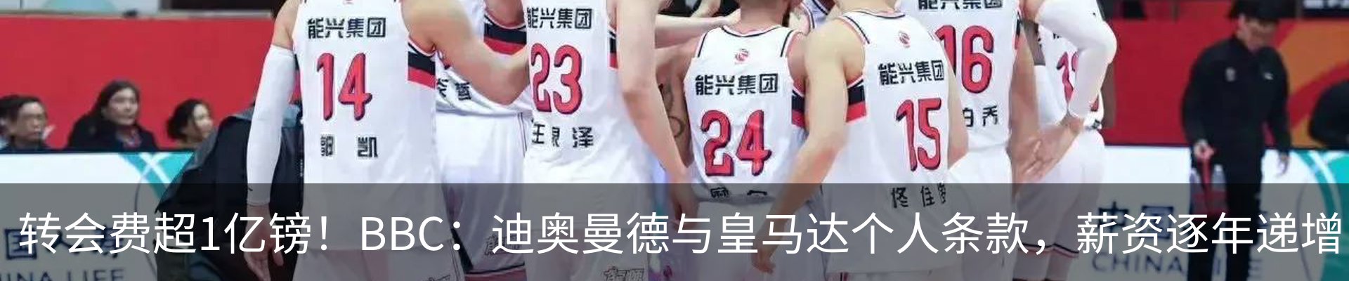 新闻动态